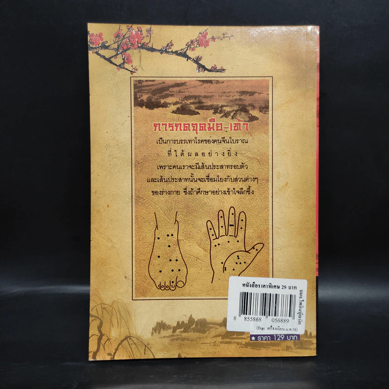 กดจุดมือ-เท้า บรรเทาโรค - ปาจรีย์ นุพงษ์ รูปที่ 2