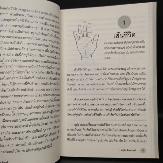 28 เส้นลายมือ ที่ควรรู้ - สุทิน หัตถศาสตร์ รูปที่ 7