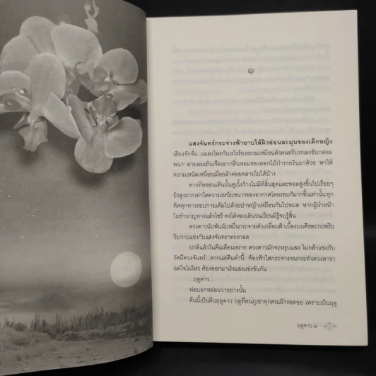 ฤดูดาว - พงศกร รูปที่ 5