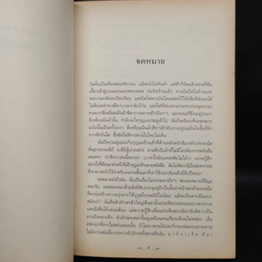 นิยายที่หายไป - ไดแอน เซตเตอร์ฟีลด์ รูปที่ 6