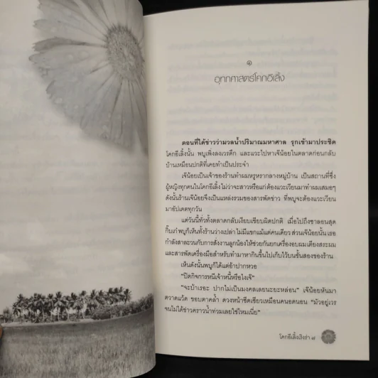 โคกอีเลิ้งเริงร่า - พงศกร รูปที่ 6