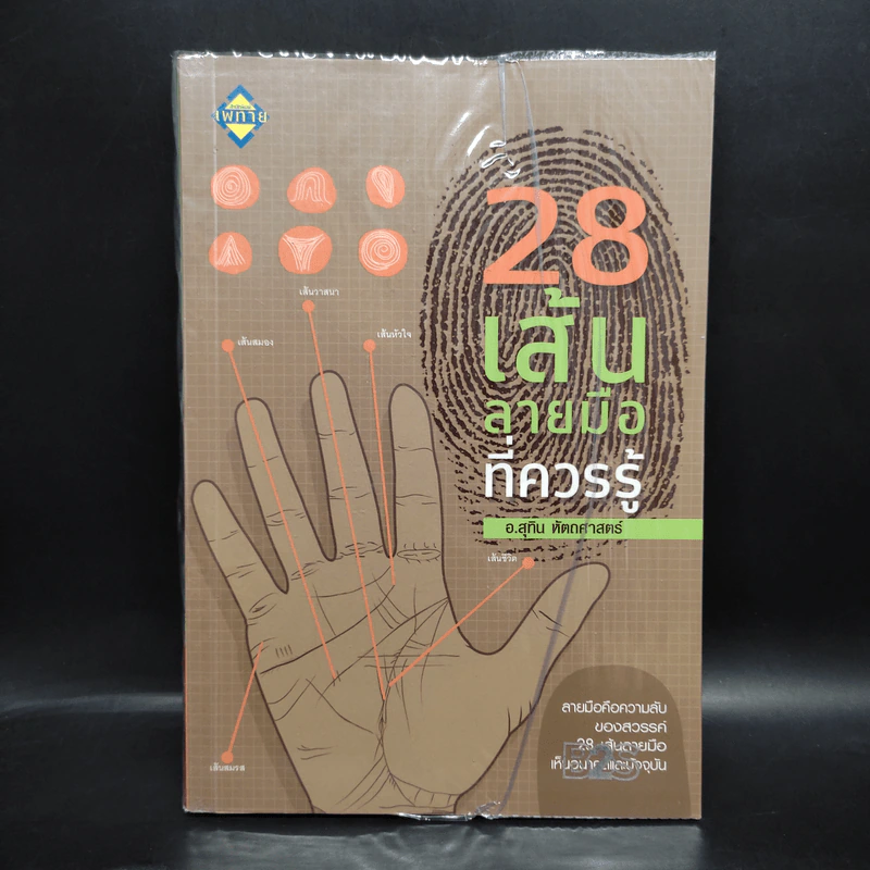 28 เส้นลายมือ ที่ควรรู้ - สุทิน หัตถศาสตร์ รูปที่ 1