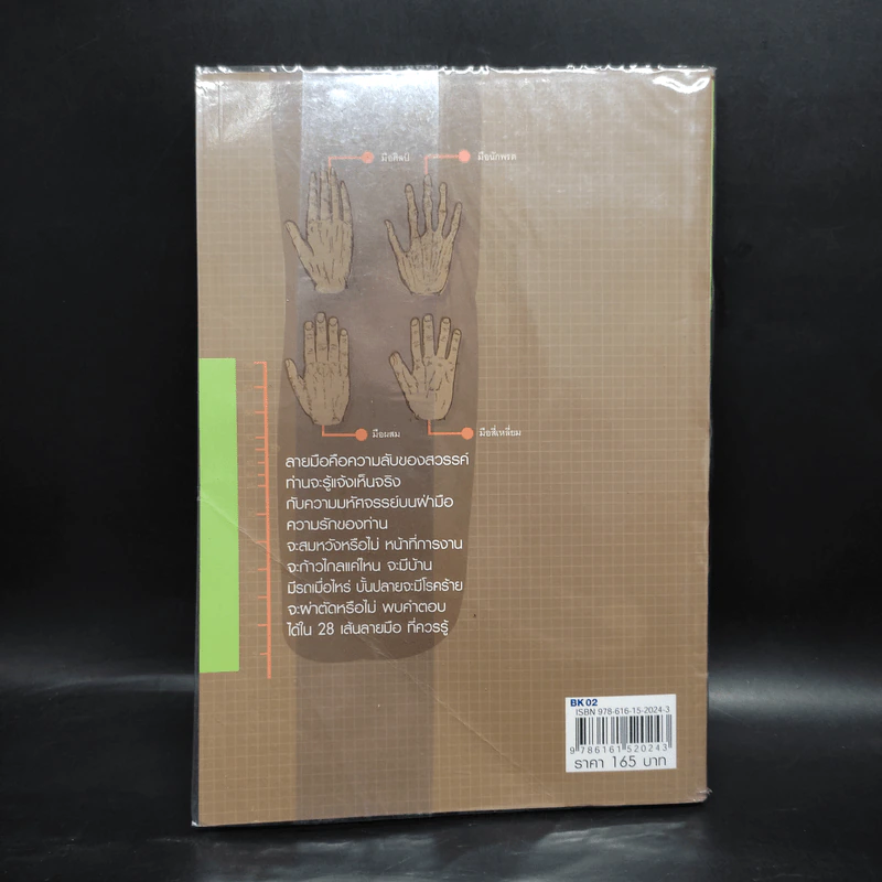 28 เส้นลายมือ ที่ควรรู้ - สุทิน หัตถศาสตร์ รูปที่ 2