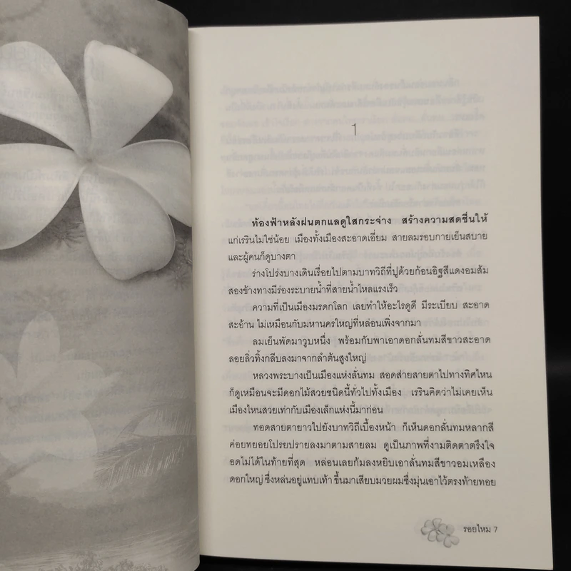 รอยไหม - พงศกร รูปที่ 6