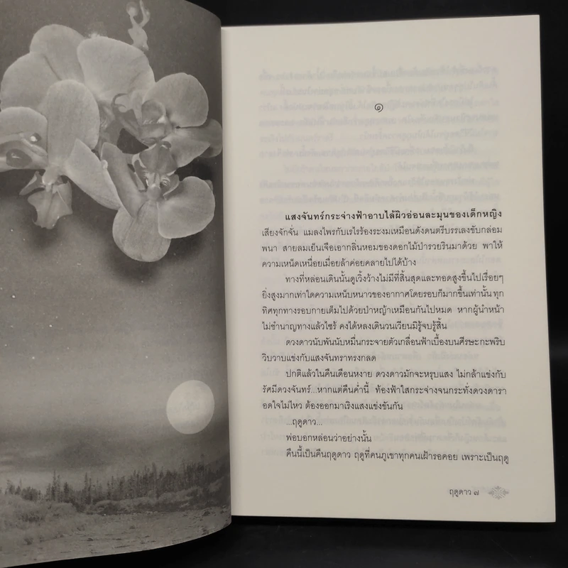 ฤดูดาว - พงศกร รูปที่ 5