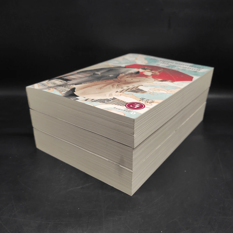 นิยายวาย ตัดสินคนจากหน้าตาก็ต้องเจอแบบนี้ 3 เล่มจบ - เย่ว์เซี่ยเตี๋ยอิ่ง (Yue Xia Die Ying) รูปที่ 3