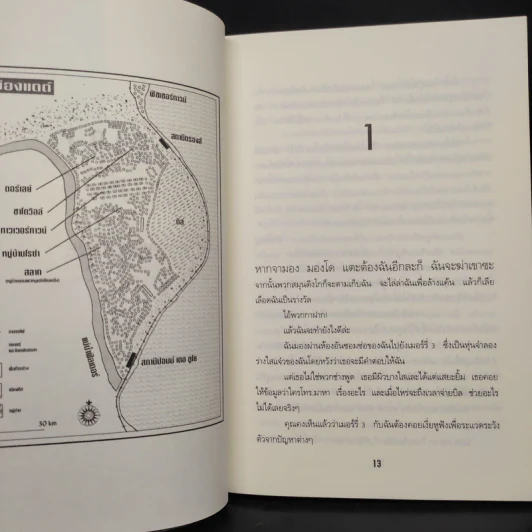 ไนล่อน แองเจิ้ล พยัคฆ์สาวสายพันธุ์ใหม่ - Marianne De Pierres รูปที่ 6