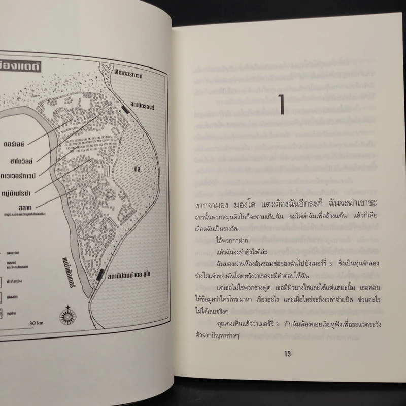 ไนล่อน แองเจิ้ล พยัคฆ์สาวสายพันธุ์ใหม่ - Marianne De Pierres รูปที่ 6