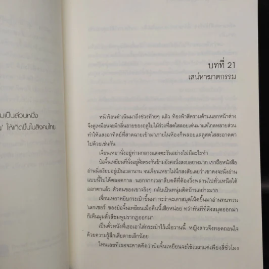 คดีร้ายสุภาพบุรุษอันตราย 2 เล่มจบ - ติงโม่ (Ding Mo) รูปที่ 7