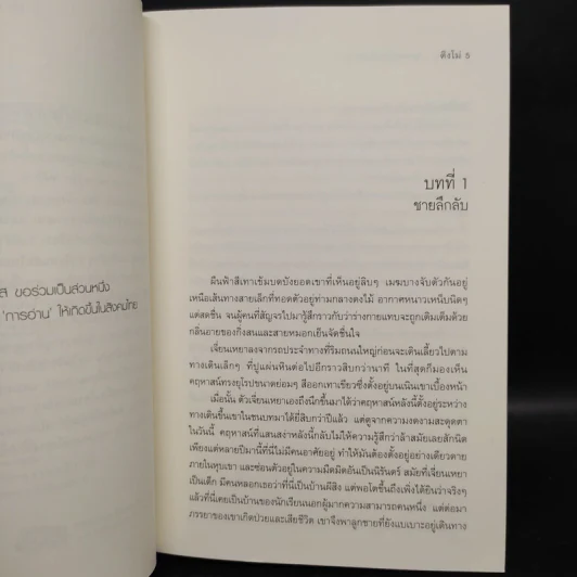 คดีร้ายสุภาพบุรุษอันตราย 2 เล่มจบ - ติงโม่ (Ding Mo) รูปที่ 6
