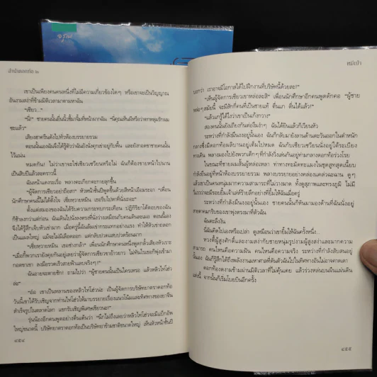 ลำนำดอกท้อ 2 เล่มจบ - หมีเป่า รูปที่ 7