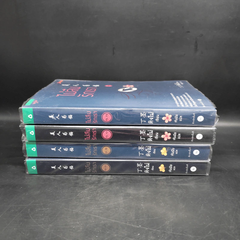 ไม่ลืมรักเรา 4 เล่มจบ - ติงโม่ (Ding Mo) รูปที่ 2