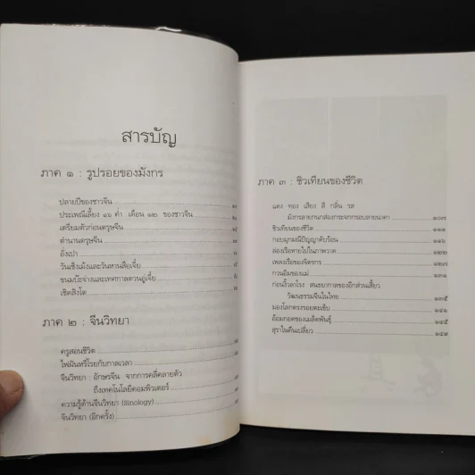 มังกรซ่อนลาย - เรืองรอง รุ่งรัศมี รูปที่ 6