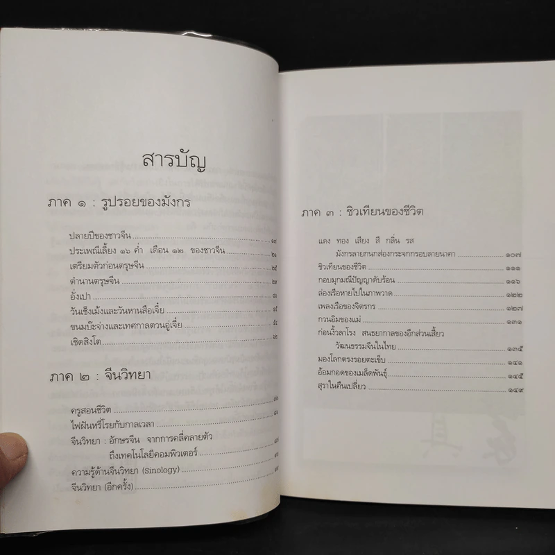 มังกรซ่อนลาย - เรืองรอง รุ่งรัศมี รูปที่ 6