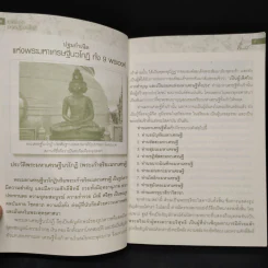 พระมหาเศรษฐีนวโกฏิ รูปที่ 6