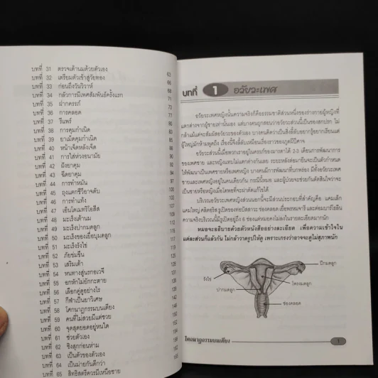 คู่มือผู้หญิง - นพ.สายฝน สุวรรณ์ รูปที่ 7