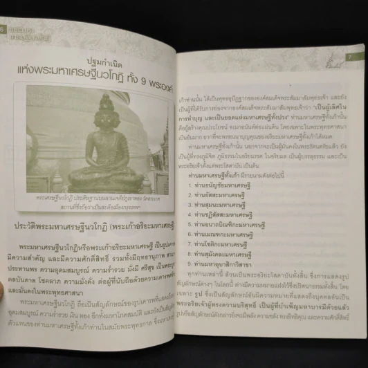 พระมหาเศรษฐีนวโกฏิ รูปที่ 6