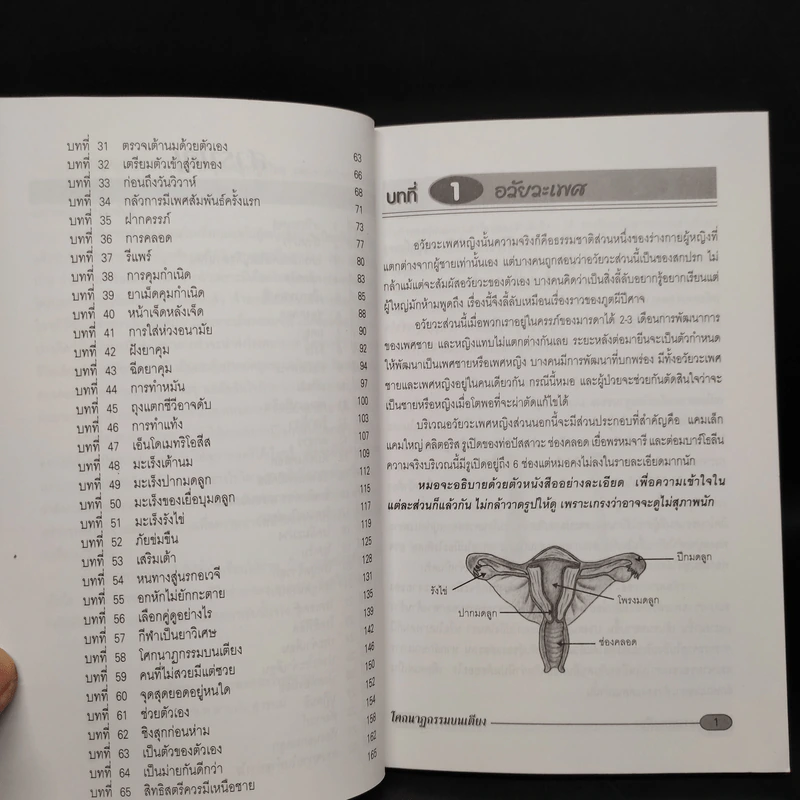 คู่มือผู้หญิง - นพ.สายฝน สุวรรณ์ รูปที่ 7