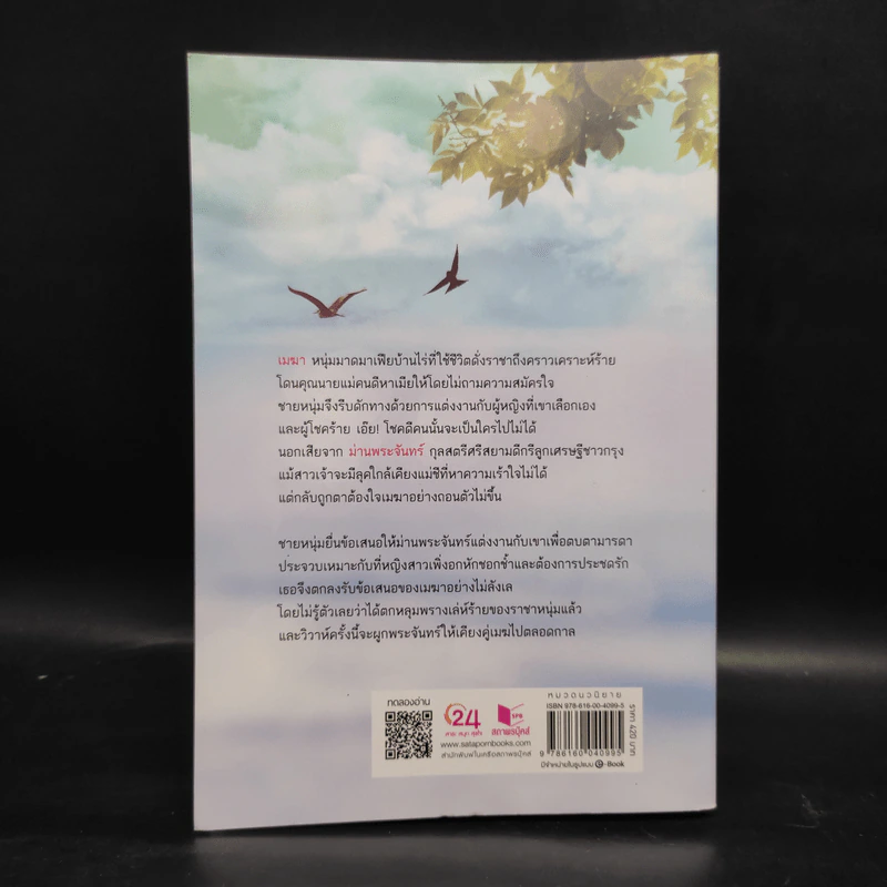 เสน่ห์รักเมฆา - เฌอนมไข่มุก รูปที่ 2