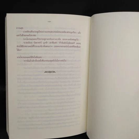 จินตนาการไม่รู้จบ The Neverending Story - มิชาเอ็ล เอ็นเด้ รูปที่ 8
