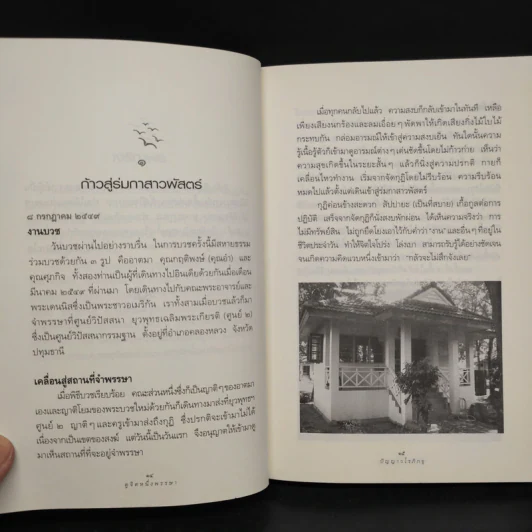 ดูจิตหนึ่งพรรษา - ปัญญาวโรภิกขุ รูปที่ 7