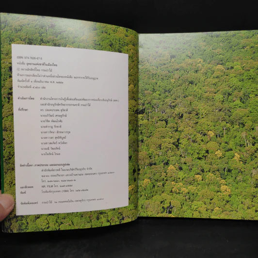 อุทยานแห่งชาติในเมืองไทย รวมข้อมูลและภาพอุทยานแห่งชาติทั่วเมืองไทย รูปที่ 5