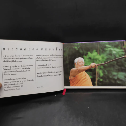 ชีวิตงาม รวมเล่ม 1-2-3 รูปที่ 7