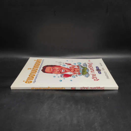 อ่างอาบน้ำทองคำ - ชูวิทย์ กมลวิศิษฎ์ รูปที่ 3