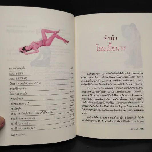 โลมเนื้อนาง - นิวัติ กองเพียร รูปที่ 6