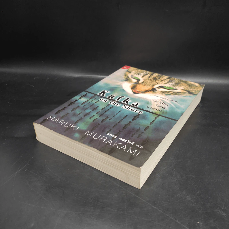 Kafka on the Shore คาฟกา วิฬาร์ นาคาตะ - Haruki Murakami รูปที่ 4
