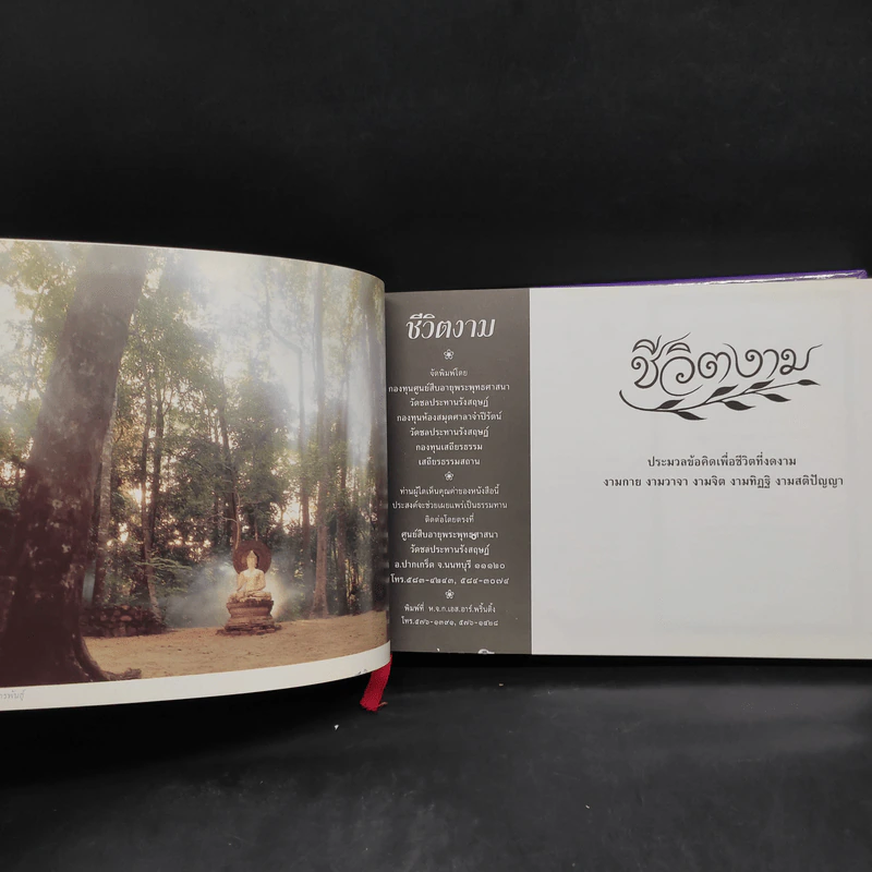 ชีวิตงาม รวมเล่ม 1-2-3 รูปที่ 5