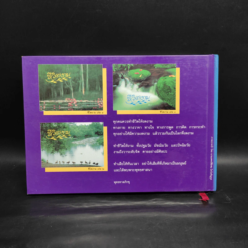 ชีวิตงาม รวมเล่ม 1-2-3 รูปที่ 2
