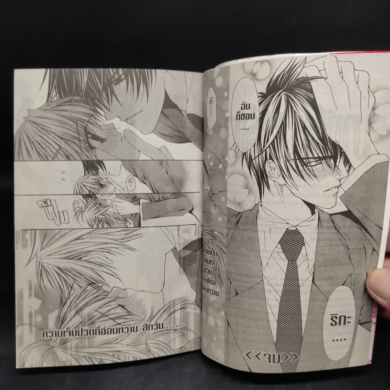มาเฟียที่รัก 9 เล่มจบ - Shinjo Mayu รูปที่ 8