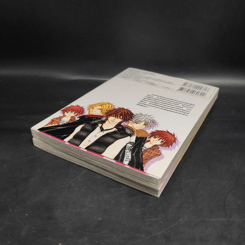Midnight Children 2 เล่มจบ - Mayu Shinjo รูปที่ 4