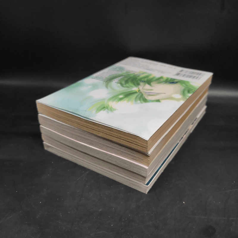 เจ้าสาวซาตาน The Bride of the Demon 5 เล่มจบ รูปที่ 3