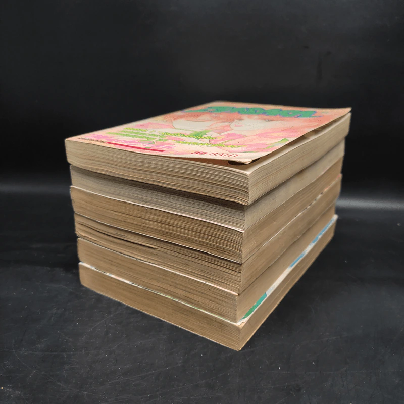 การ์ตูนหมึกจีน Basara เล่ม 1-6 รูปที่ 3