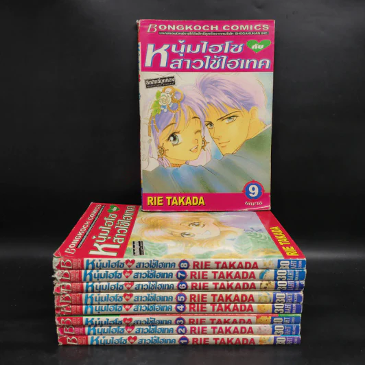 หนุ่มไฮโซกับสาวใช้ไฮเทค 9 เล่มจบ รูปที่ 1