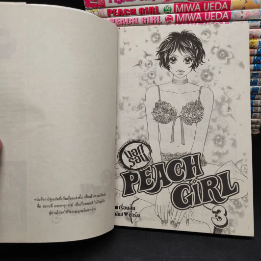 Peach Girl 18 เล่มจบ + นอกรอบ 3 เล่มจบ + Fan Book รูปที่ 6