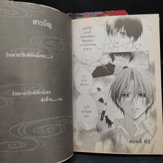 ร่ายคาถารัก พิทักษ์เธอ 12 เล่มจบ รูปที่ 6