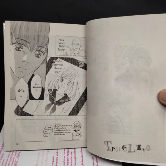 True Love เมื่อรักแท้สะกิดหัวใจ 7 เล่มจบ รูปที่ 7