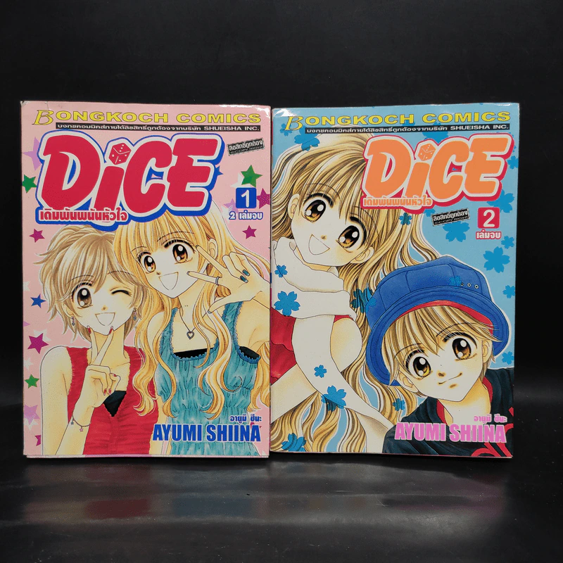 Dice เดิมพันพนันหัวใจ 2 เล่มจบ รูปที่ 1