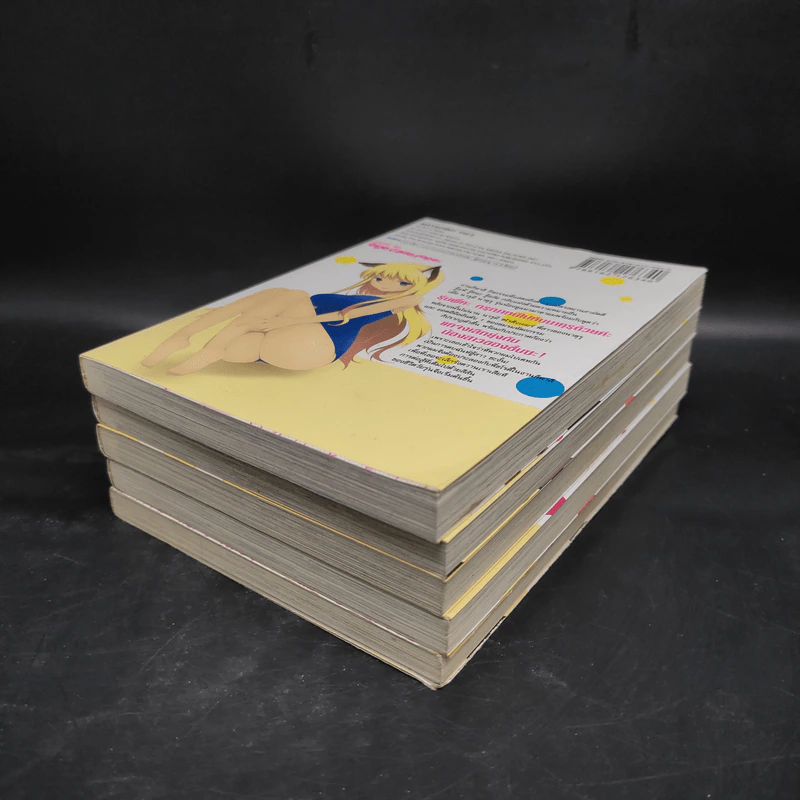 ฉันนี่ล่ะพ่อบ้าน เล่ม 1-5 รูปที่ 3