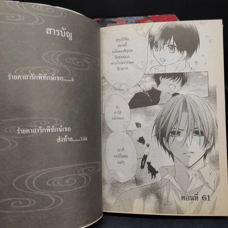 ร่ายคาถารัก พิทักษ์เธอ 12 เล่มจบ รูปที่ 6