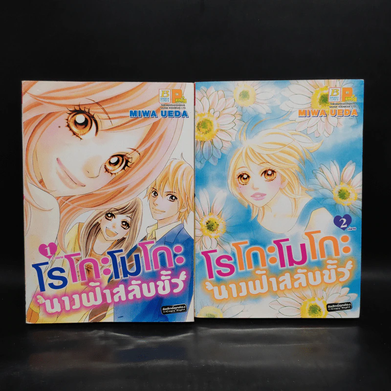 โรโกะโมโกะ นางฟ้าสลับขั้ว 2 เล่มจบ รูปที่ 1