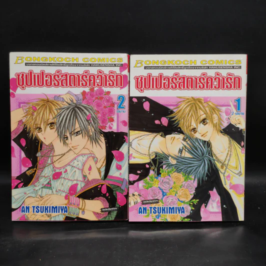 ซุปเปอร์สตาร์คว้ารัก 2 เล่มจบ รูปที่ 1