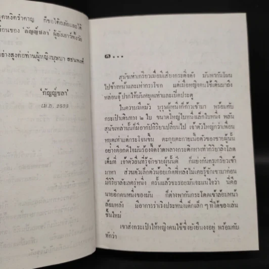 ในกระแสชล - กัญญ์ชลา รูปที่ 7