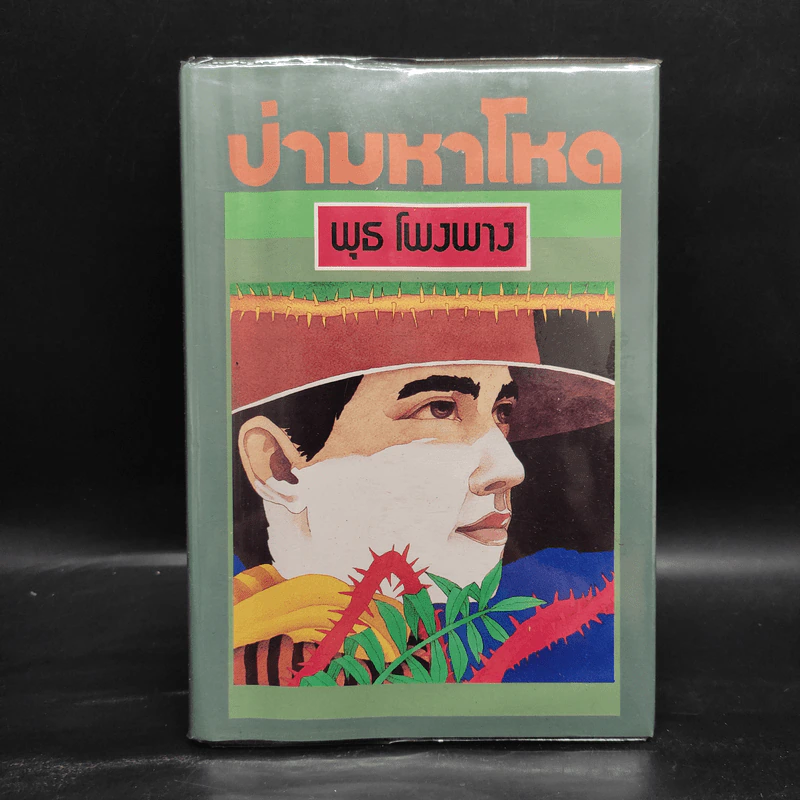 ป่ามหาโหด - พุธ โพงพาง รูปที่ 1