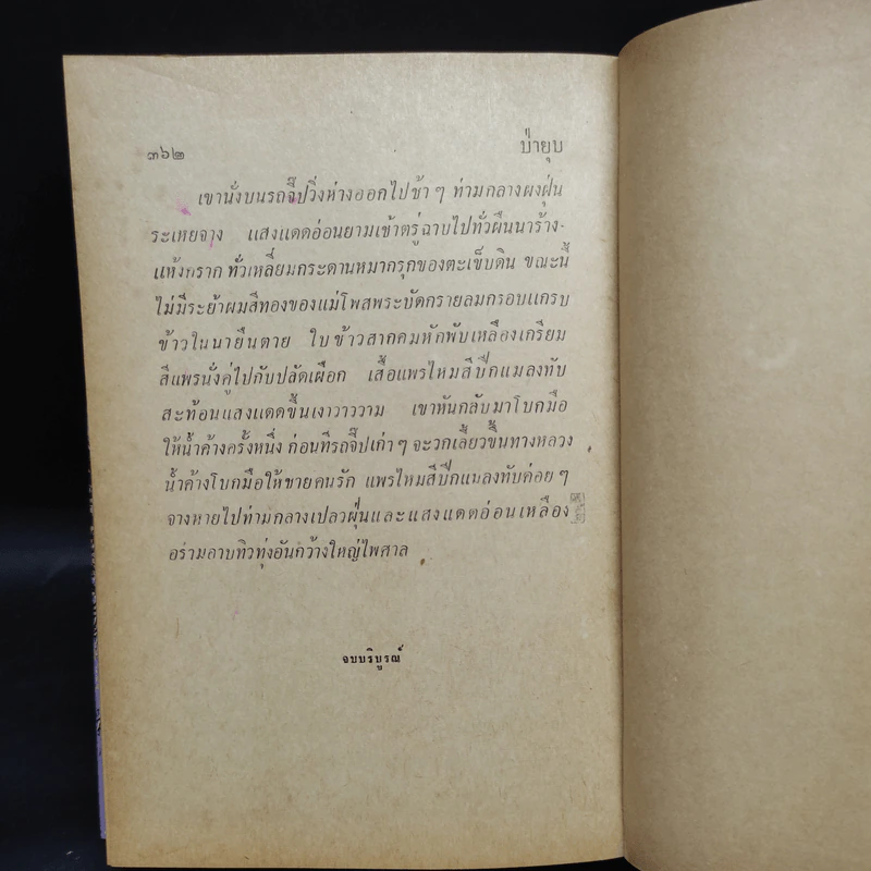ป่ายุบ - กรกฎ อลงกรณ์ รูปที่ 7