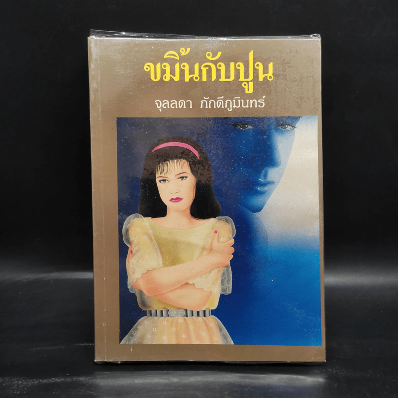 ขมิ้นกับปูน - จุลลดา ภักดีภูมินทร์ รูปที่ 1