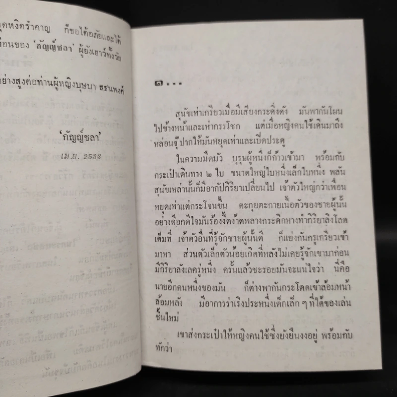 ในกระแสชล - กัญญ์ชลา รูปที่ 7